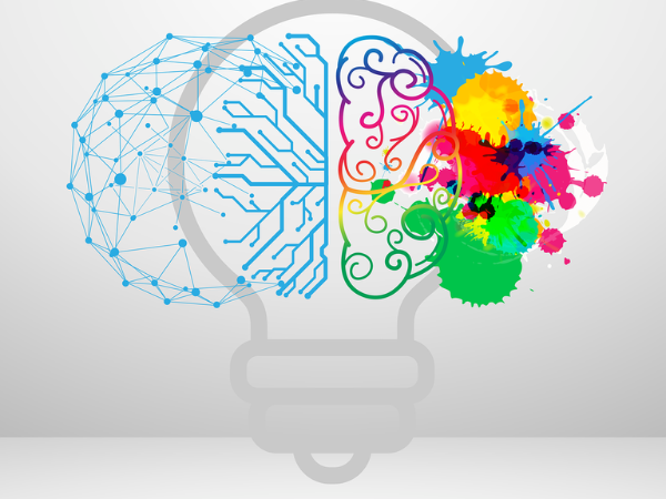 Brain Training & Academics